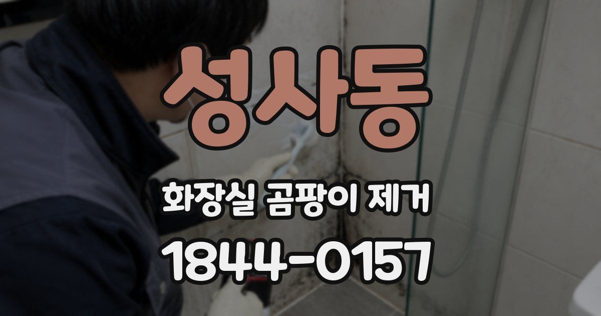 성사동 화장실 곰팡이 제거