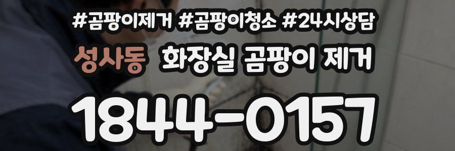 성사동 화장실 곰팡이 제거