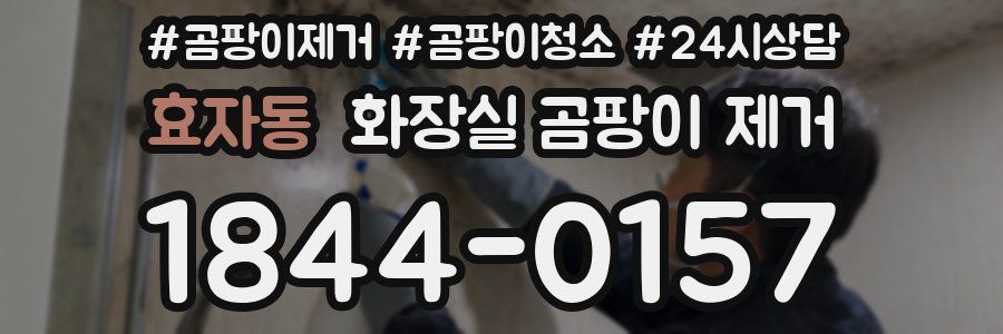 효자동 화장실 곰팡이 제거