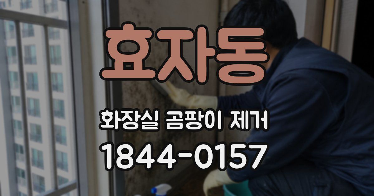 효자동 화장실 곰팡이 제거