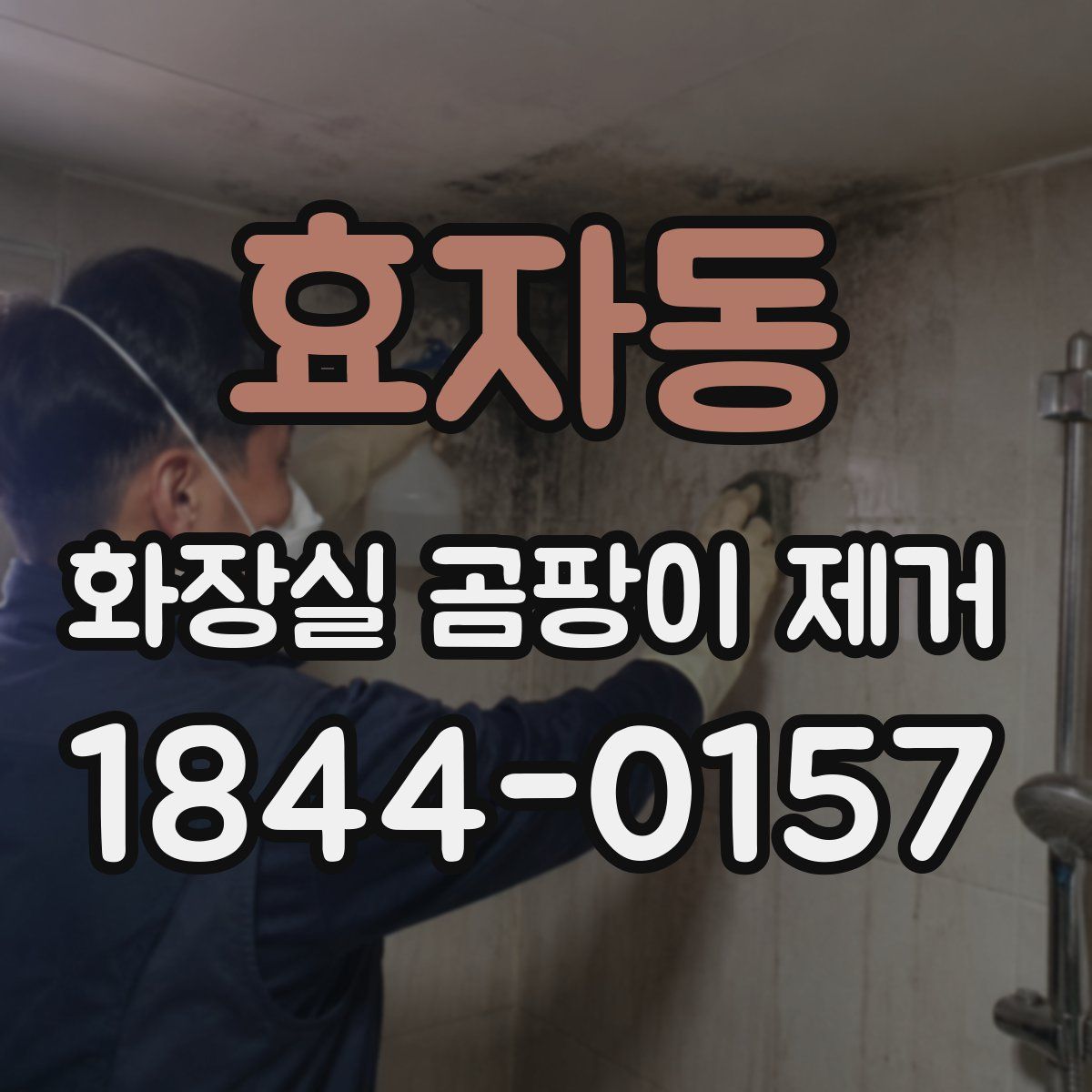 효자동 화장실 곰팡이 제거