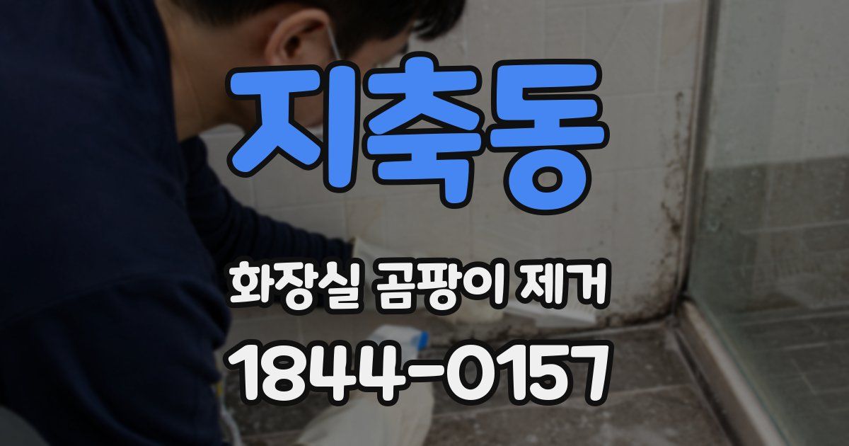 지축동 화장실 곰팡이 제거