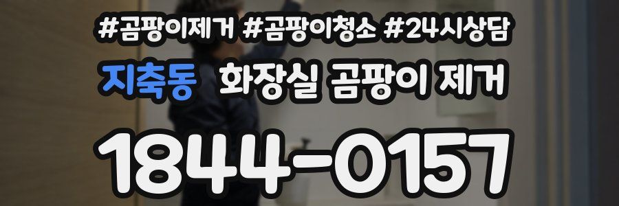 지축동 화장실 곰팡이 제거