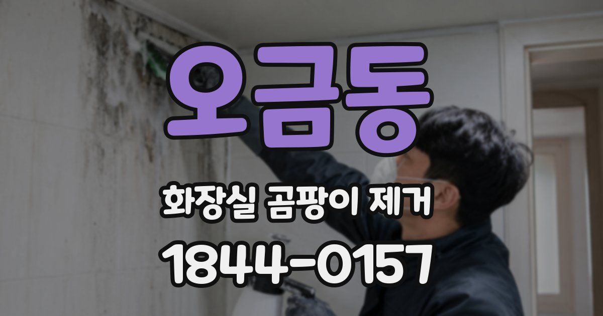 오금동 화장실 곰팡이 제거