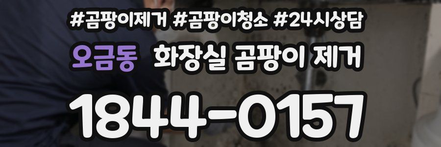 오금동 화장실 곰팡이 제거
