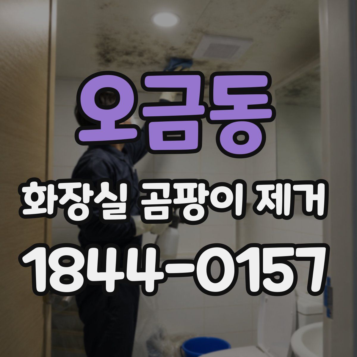 오금동 화장실 곰팡이 제거
