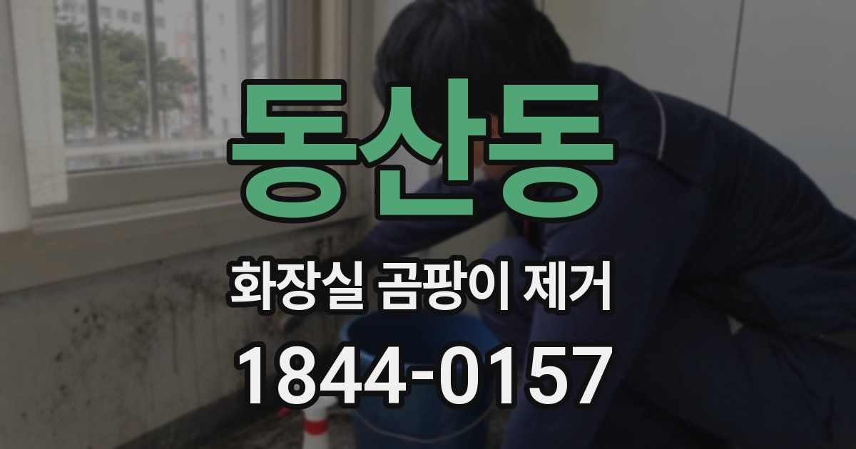 동산동 화장실 곰팡이 제거
