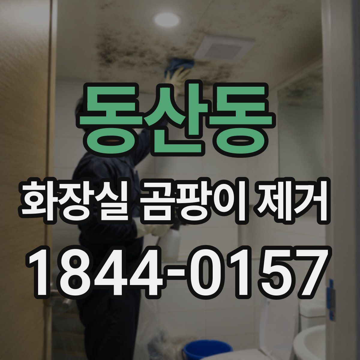 동산동 화장실 곰팡이 제거