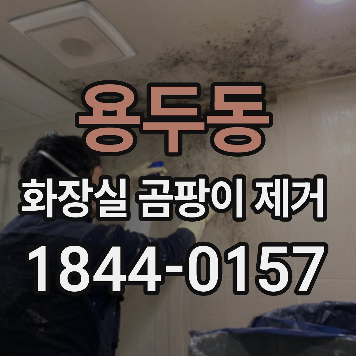 용두동 화장실 곰팡이 제거