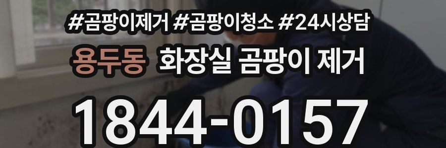 용두동 화장실 곰팡이 제거