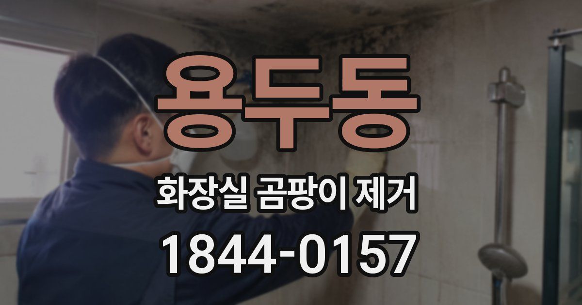 용두동 화장실 곰팡이 제거