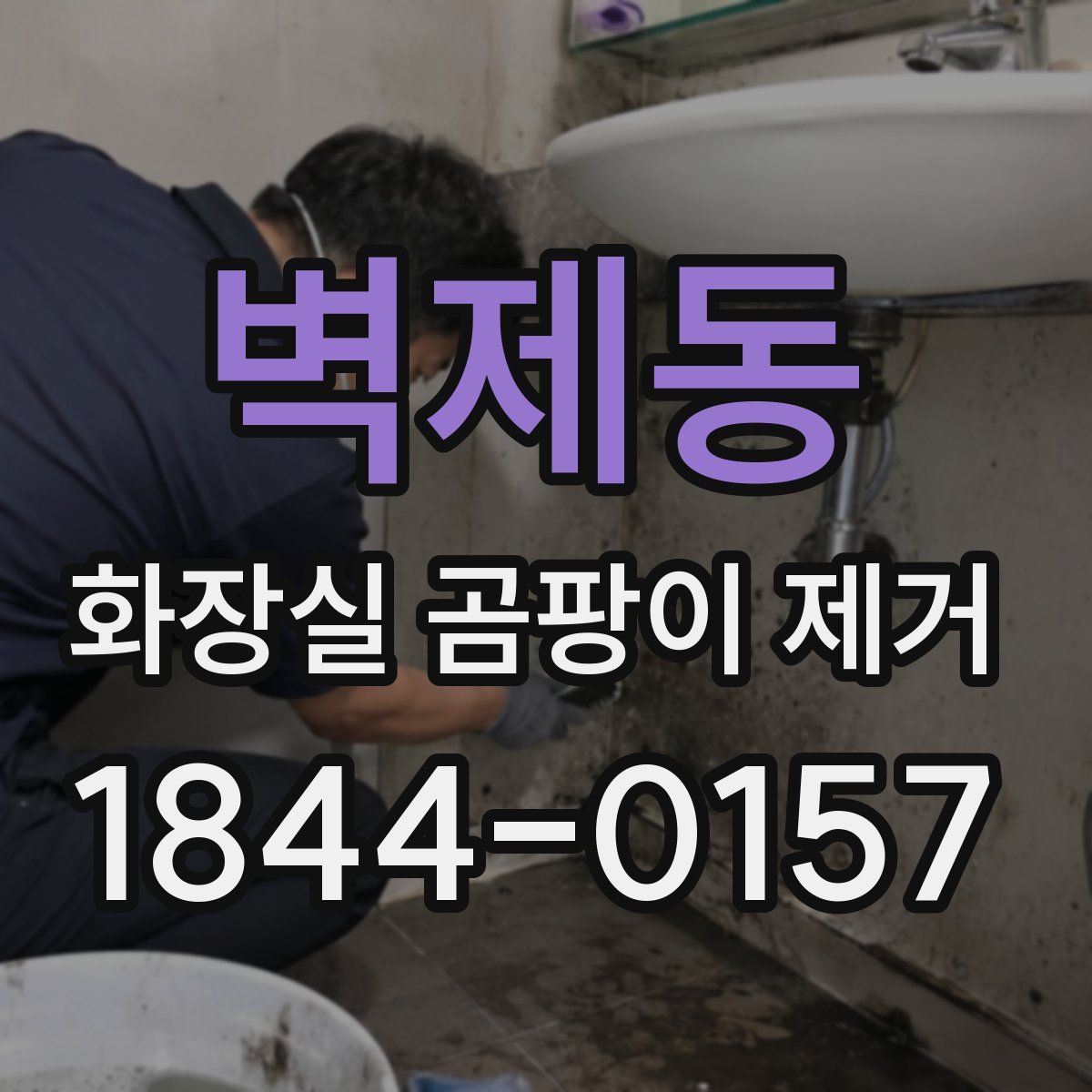 벽제동 화장실 곰팡이 제거