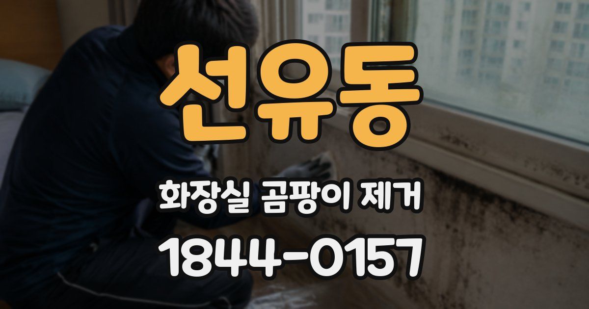 선유동 화장실 곰팡이 제거