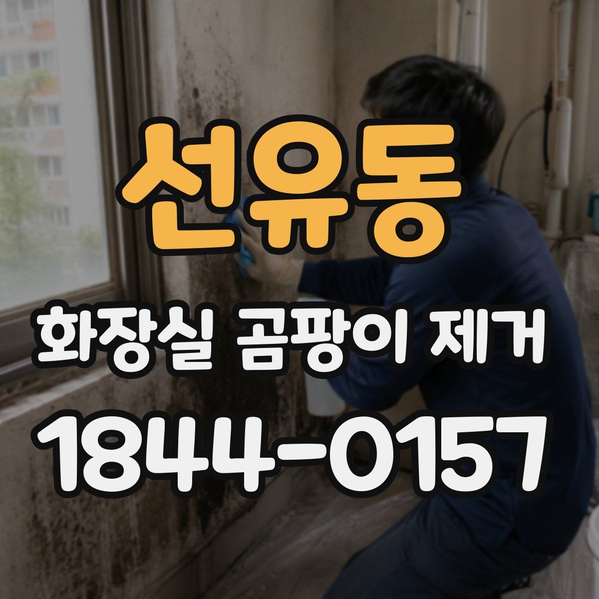 선유동 화장실 곰팡이 제거