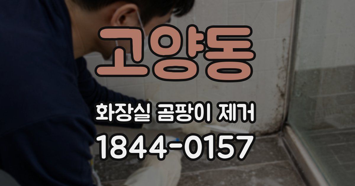 고양동 화장실 곰팡이 제거