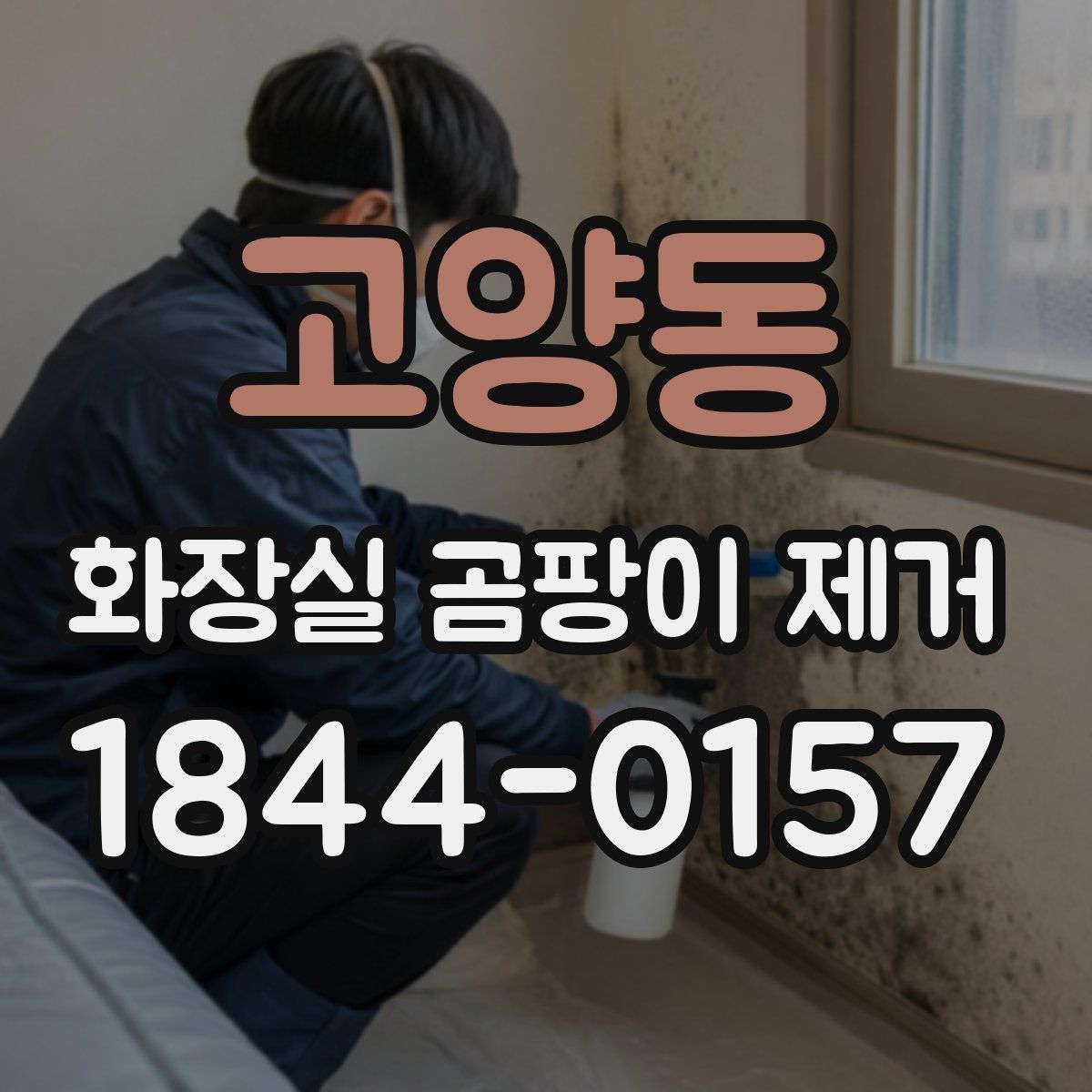 고양동 화장실 곰팡이 제거