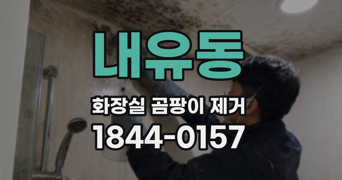 내유동 화장실 곰팡이 제거