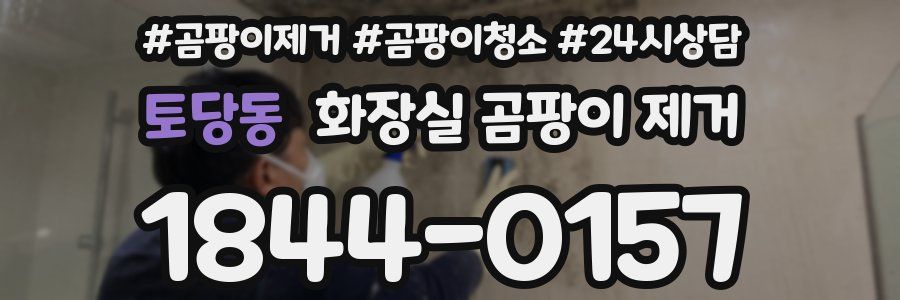토당동 화장실 곰팡이 제거