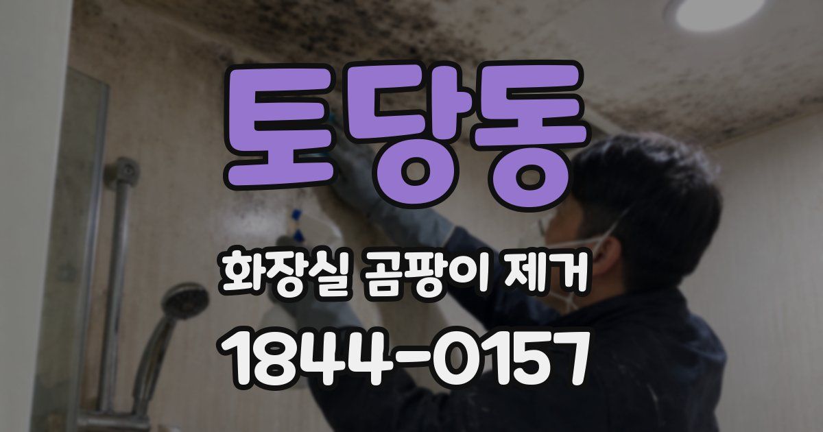 토당동 화장실 곰팡이 제거