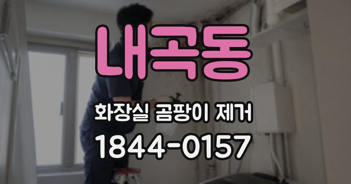내곡동 화장실 곰팡이 제거