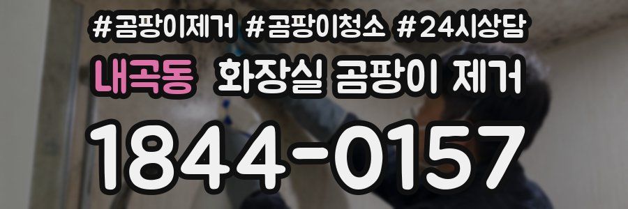 내곡동 화장실 곰팡이 제거