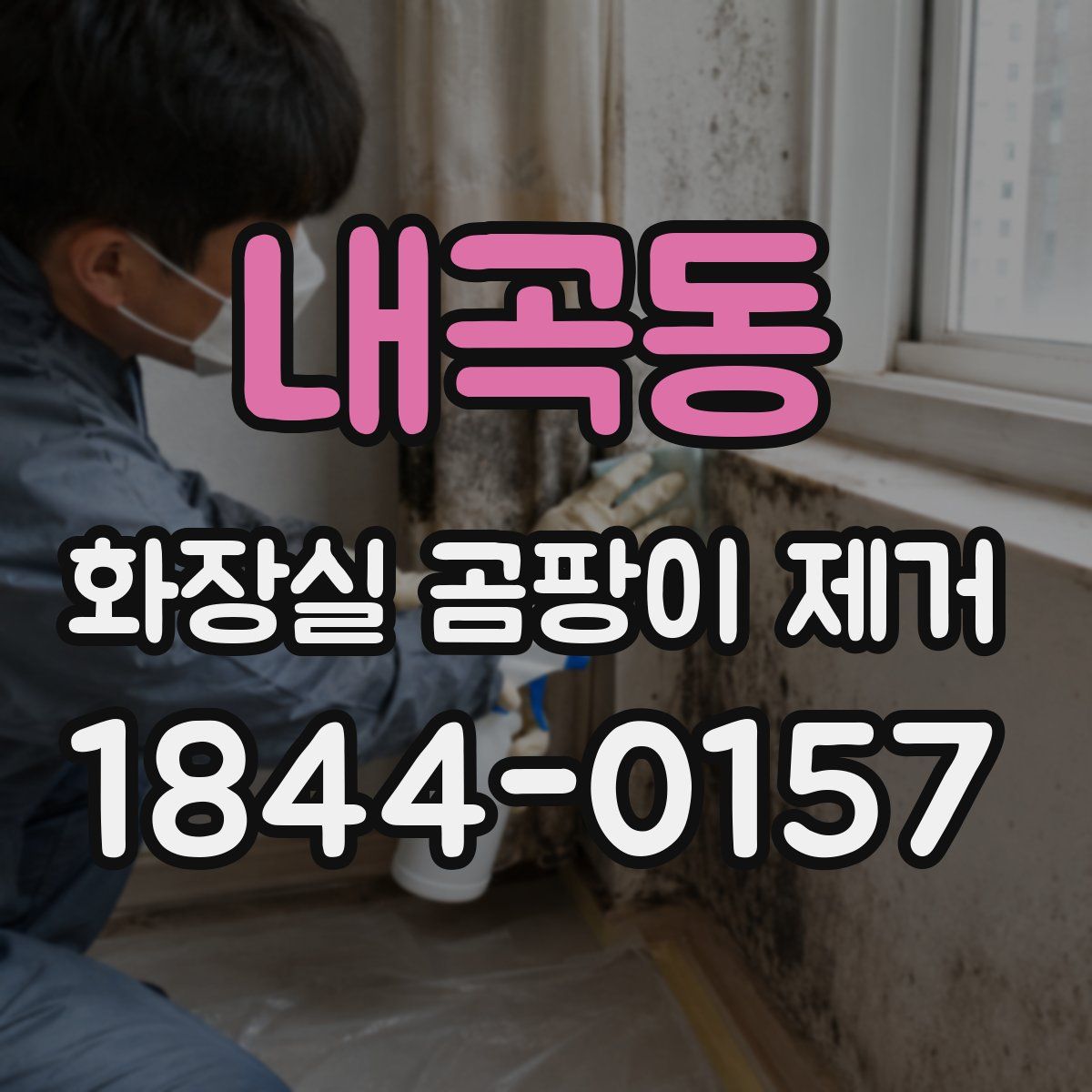 내곡동 화장실 곰팡이 제거