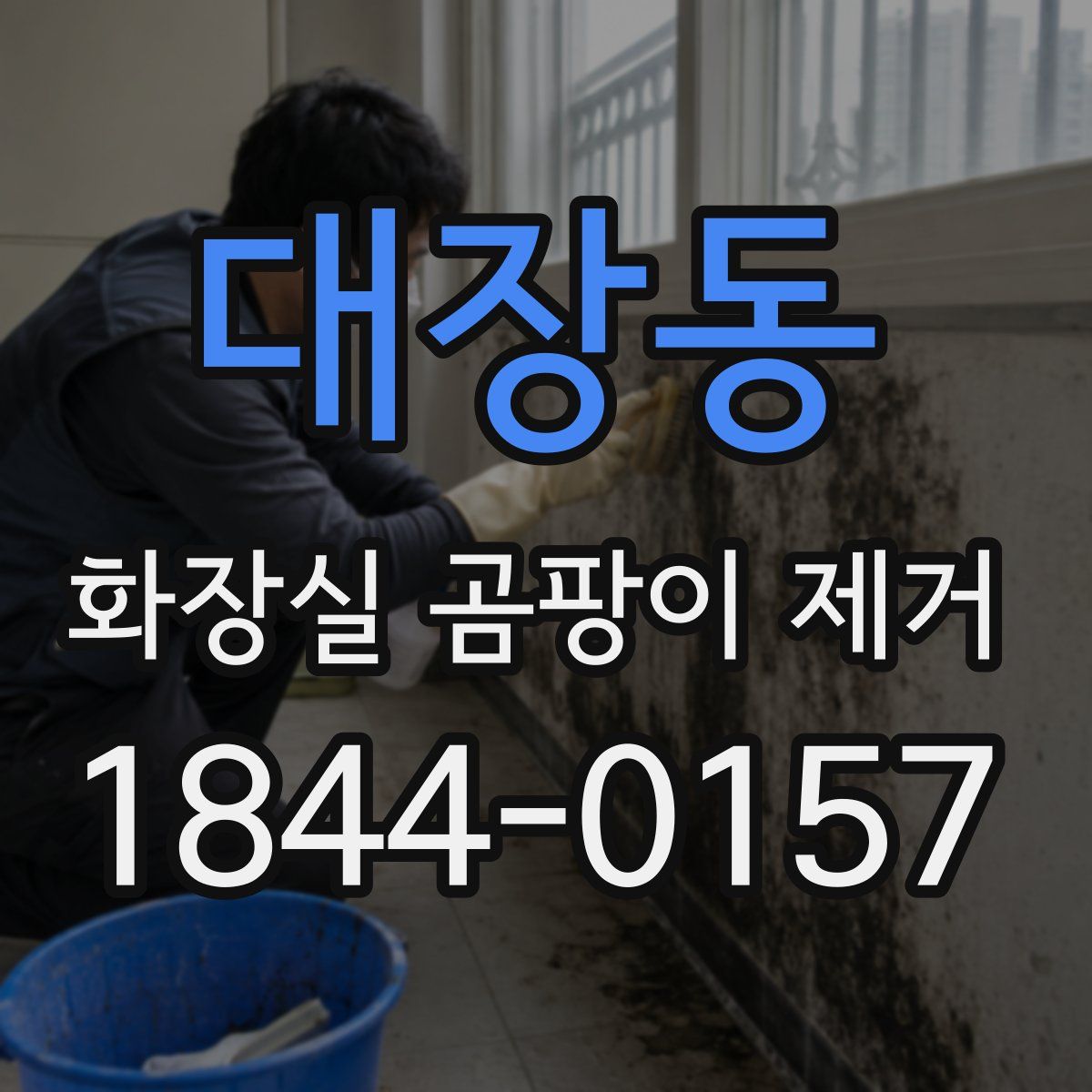 대장동 화장실 곰팡이 제거