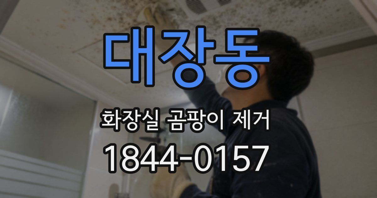 대장동 화장실 곰팡이 제거
