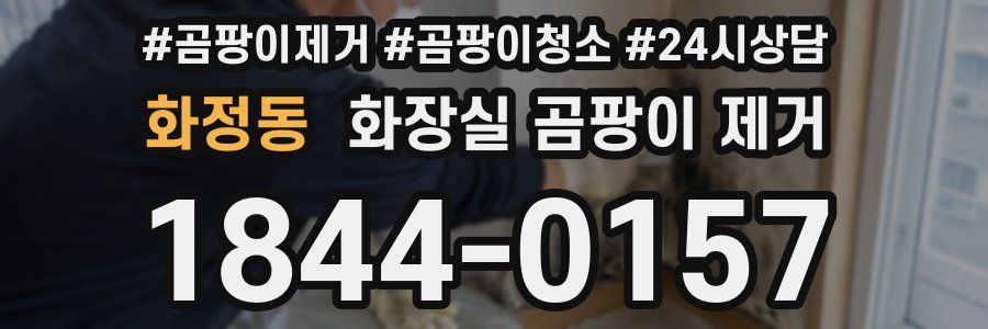화정동 화장실 곰팡이 제거