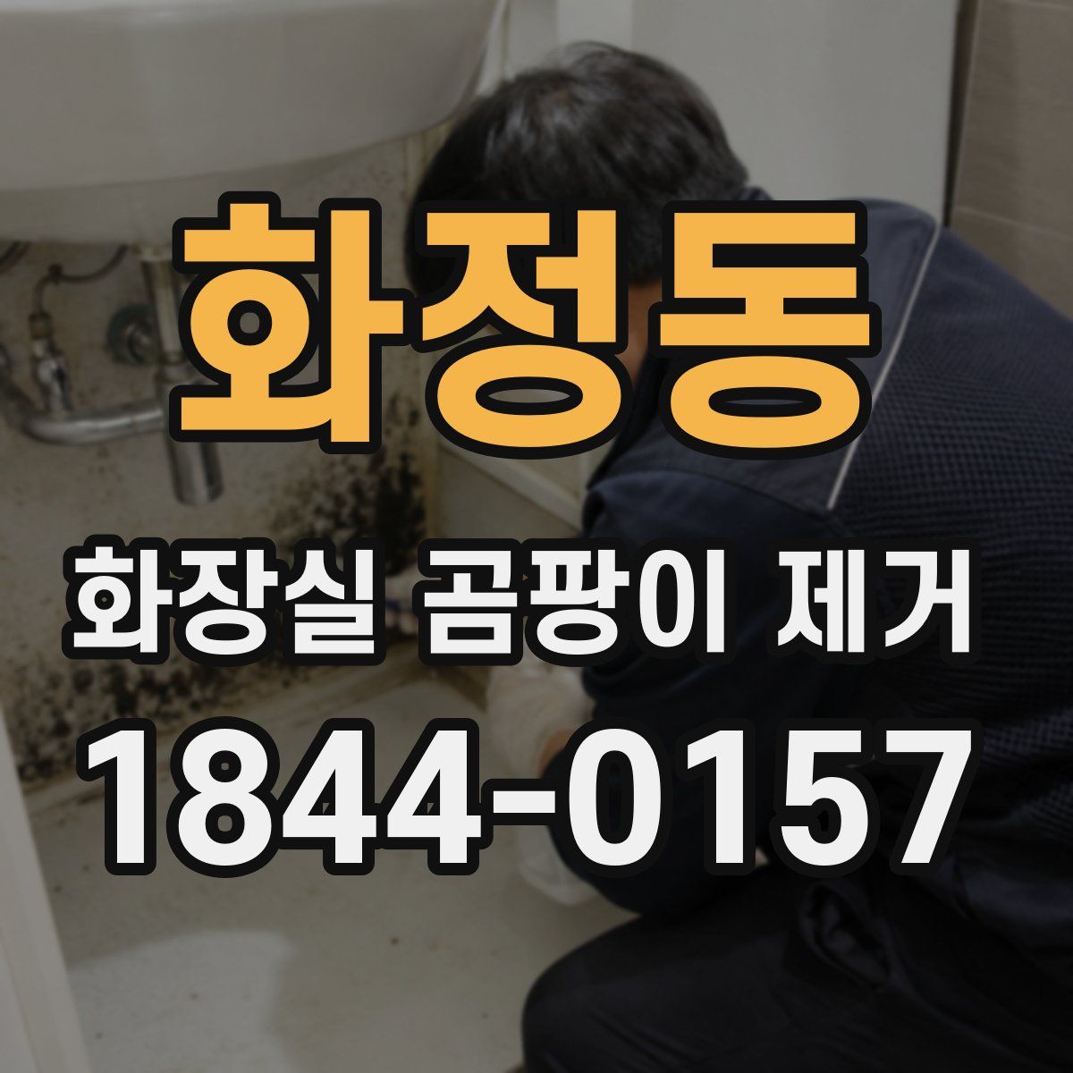 화정동 화장실 곰팡이 제거