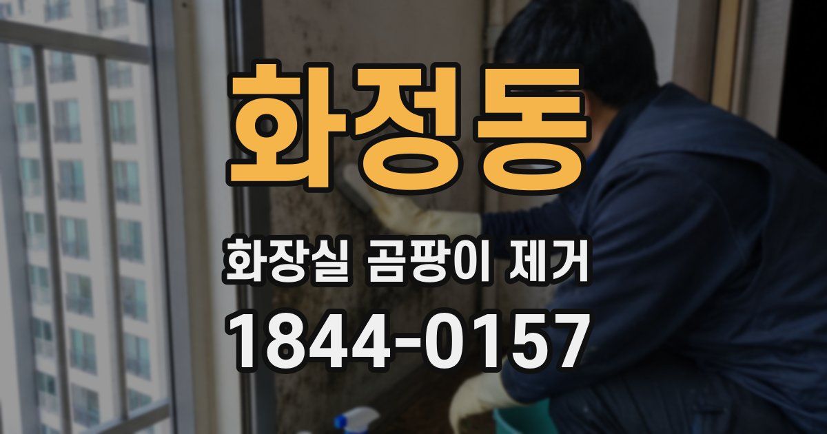 화정동 화장실 곰팡이 제거