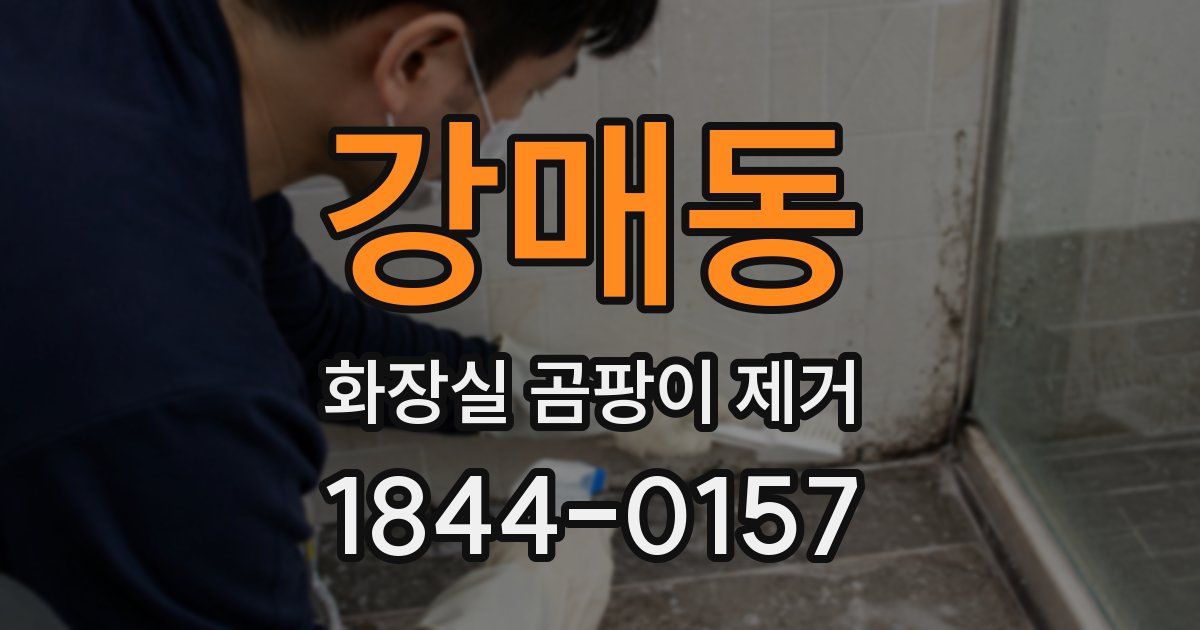 강매동 화장실 곰팡이 제거