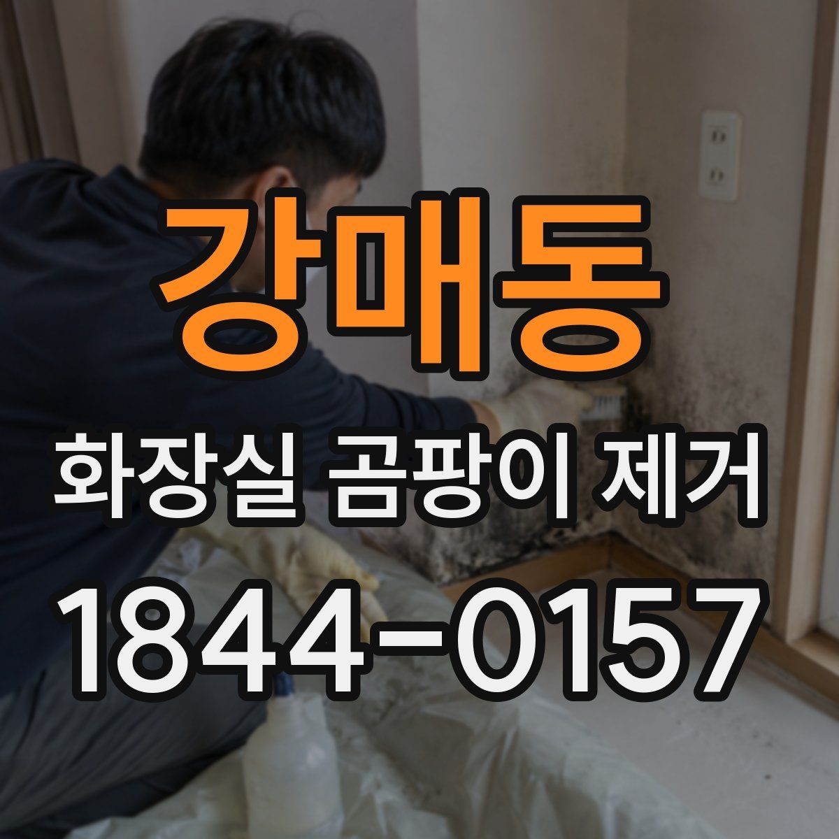 강매동 화장실 곰팡이 제거