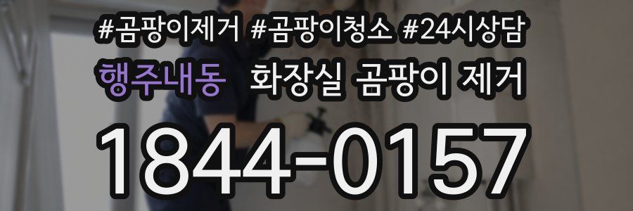 행주내동 화장실 곰팡이 제거