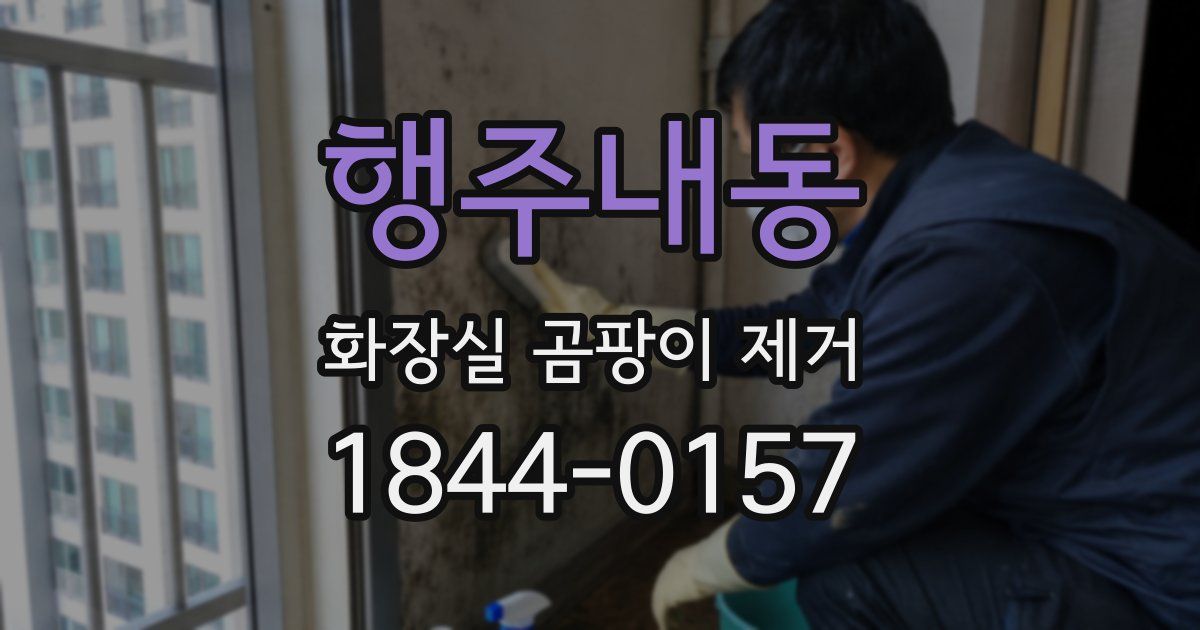 행주내동 화장실 곰팡이 제거