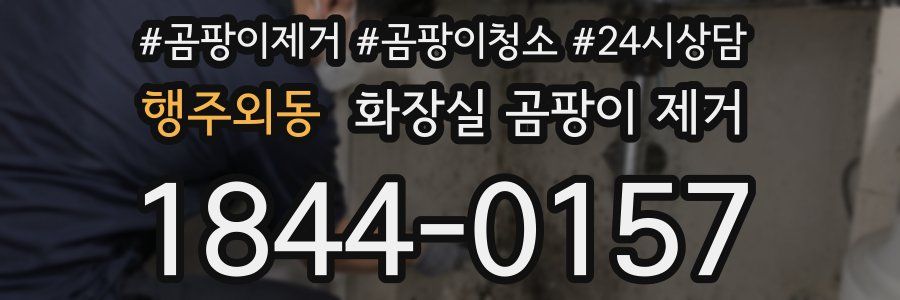행주외동 화장실 곰팡이 제거
