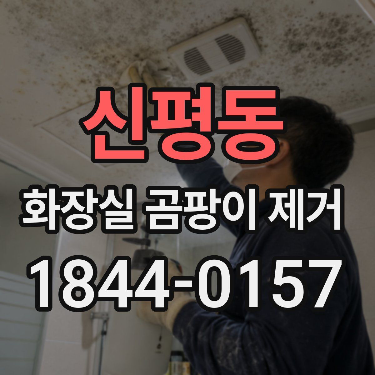 신평동 화장실 곰팡이 제거