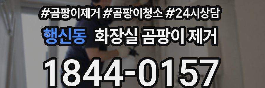 행신동 화장실 곰팡이 제거