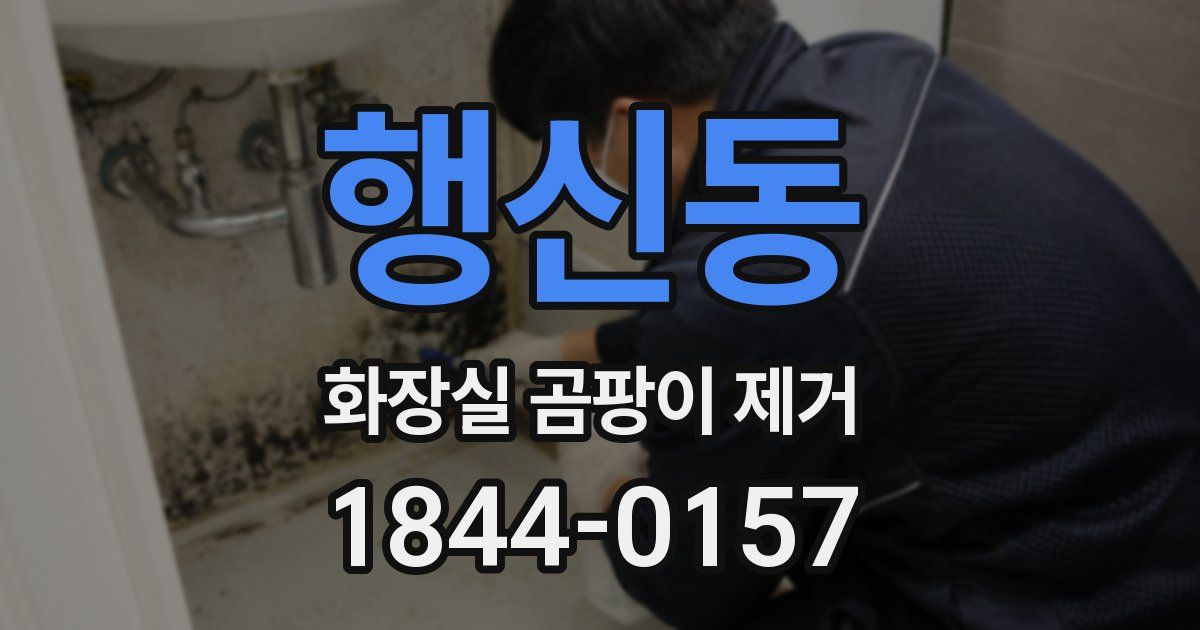 행신동 화장실 곰팡이 제거