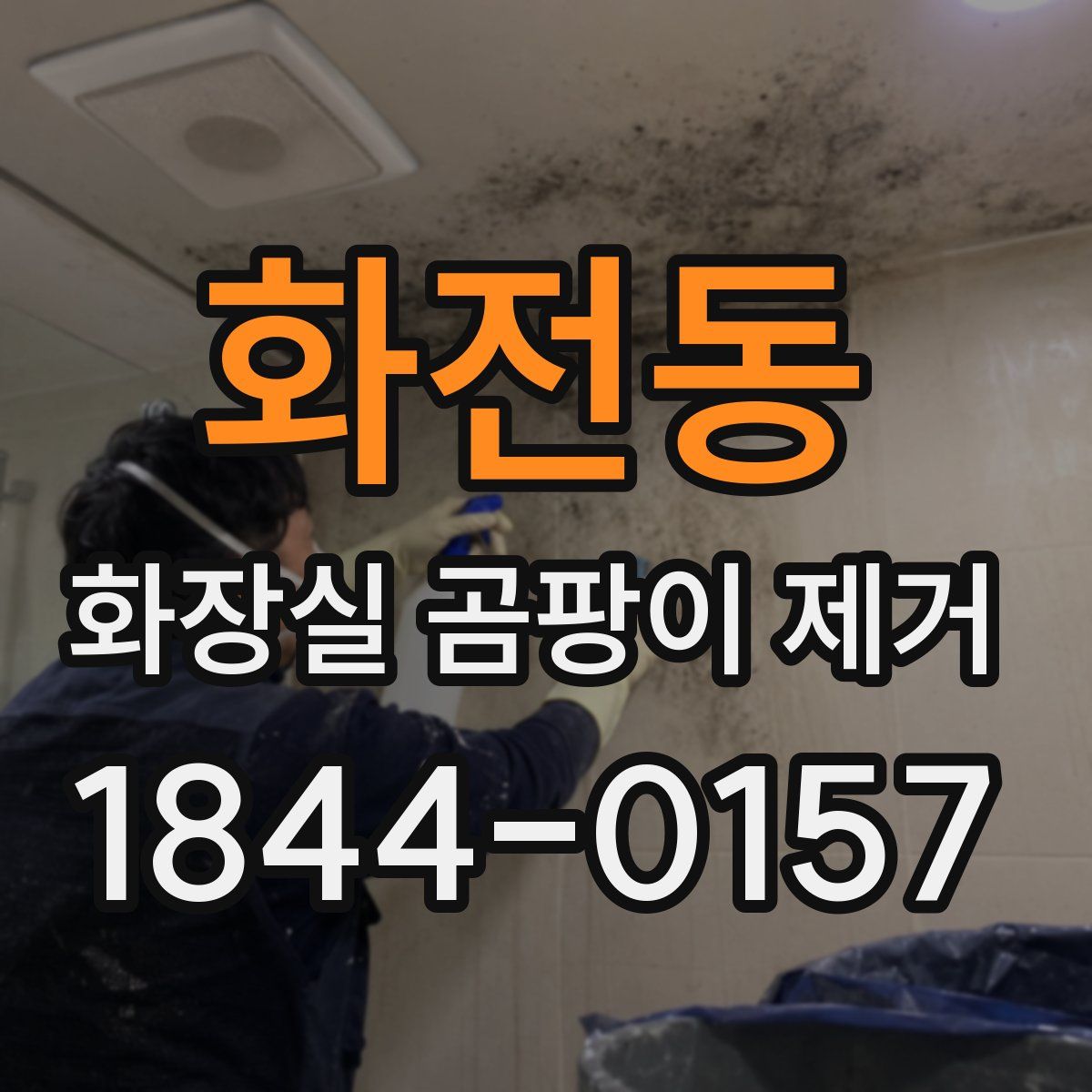 화전동 화장실 곰팡이 제거