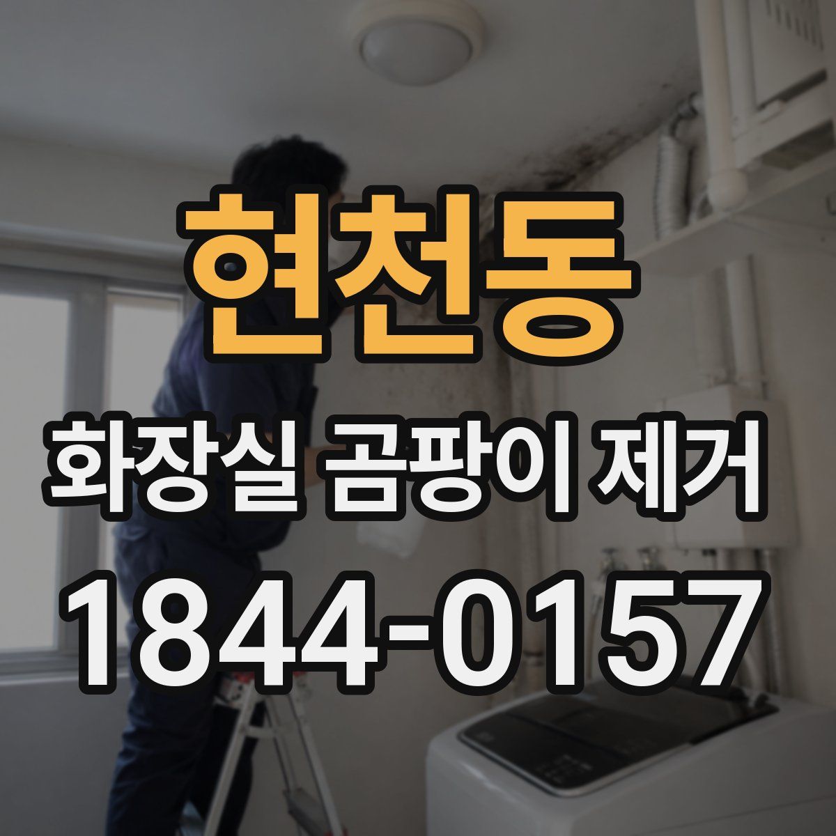 현천동 화장실 곰팡이 제거