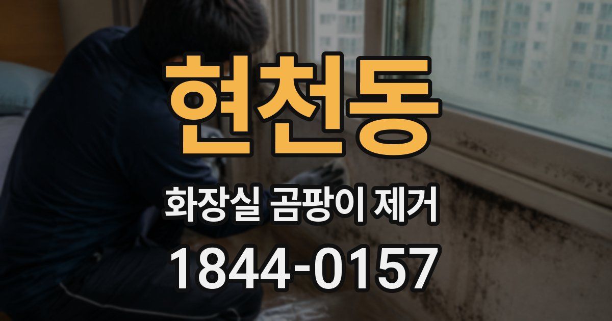 현천동 화장실 곰팡이 제거