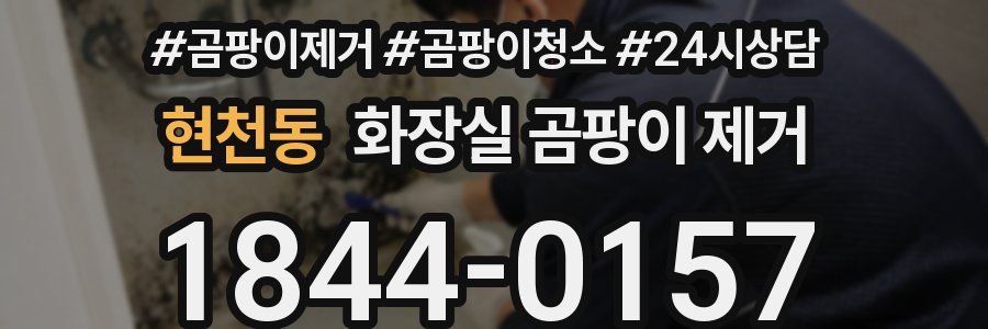현천동 화장실 곰팡이 제거