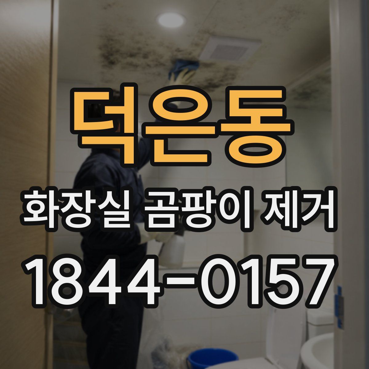 덕은동 화장실 곰팡이 제거