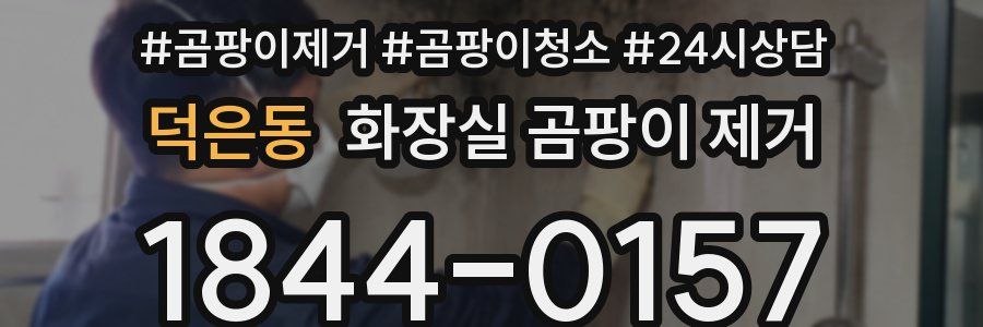 덕은동 화장실 곰팡이 제거