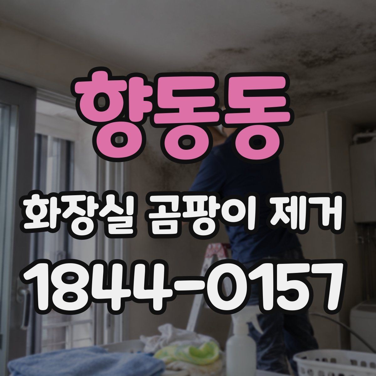 향동동 화장실 곰팡이 제거 아이와 반려동물 있는 집의 안전 수칙