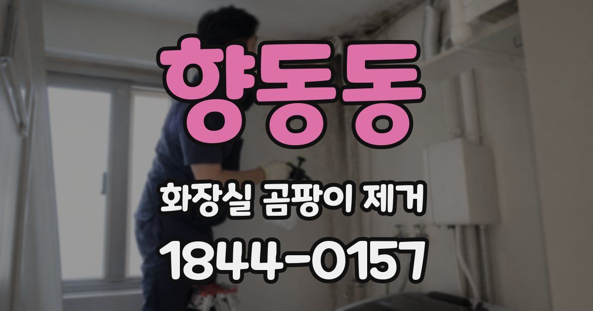 향동동 화장실 곰팡이 제거