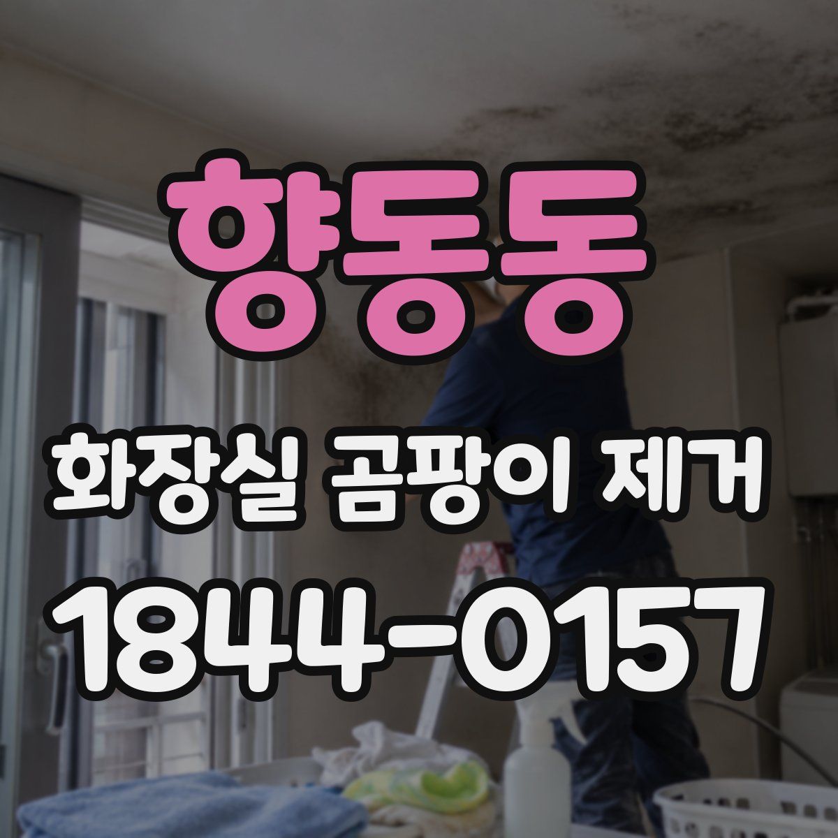 향동동 화장실 곰팡이 제거