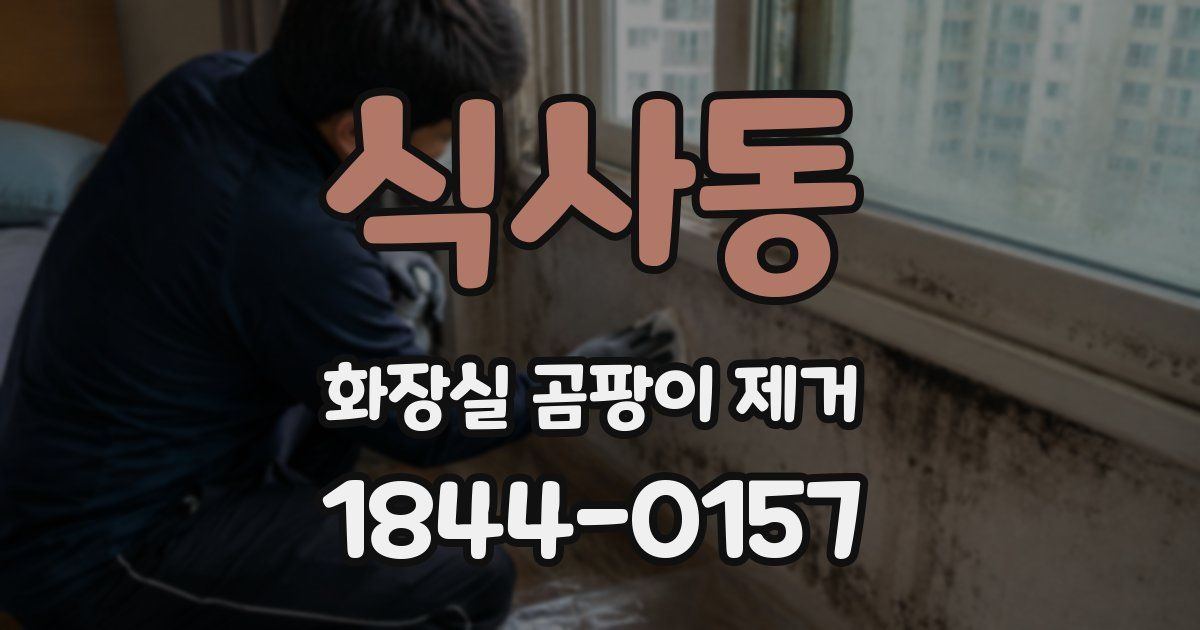 식사동 화장실 곰팡이 제거