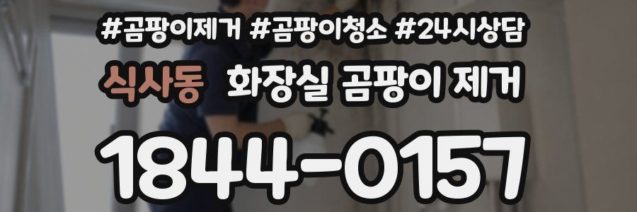 식사동 화장실 곰팡이 제거